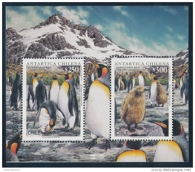 CHILE 1996 ANTARTICA CHILENA King Penguins Minisheet** - Antarctic Wildlife