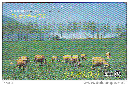 Télécarte Japon / NTT 350-264 - VACHE - COW Japan Phonecard - KUH Telefonkarte - 84 - Kühe