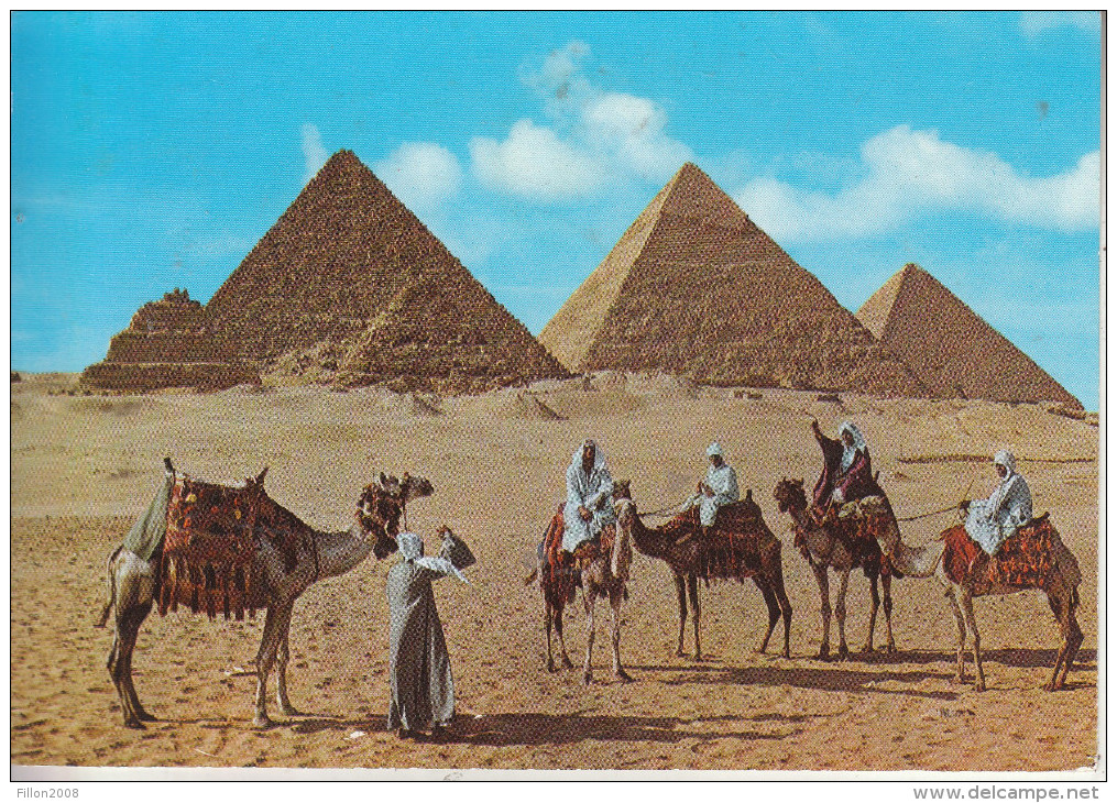 EGYPTE - Pyramides Gizeh - Gizeh