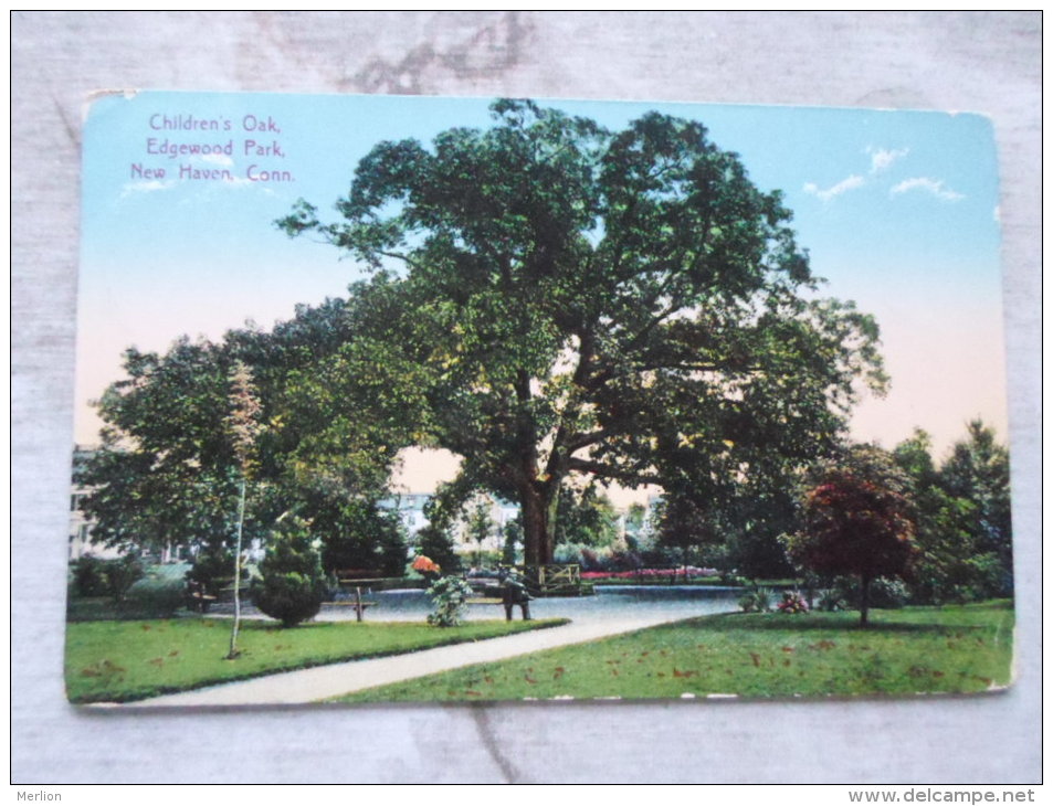 USA   Connecticut - NEW HAVEN  -  Children's Oak -Edgewood Park  PU 1910  D127311 - New Haven