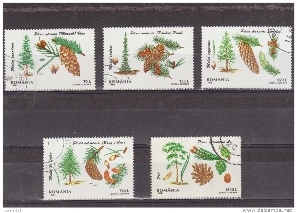 1996 -  Les Arbres A Aiguilles Mi No 5202/5206 Et Yv No 4342/4346 - Used Stamps