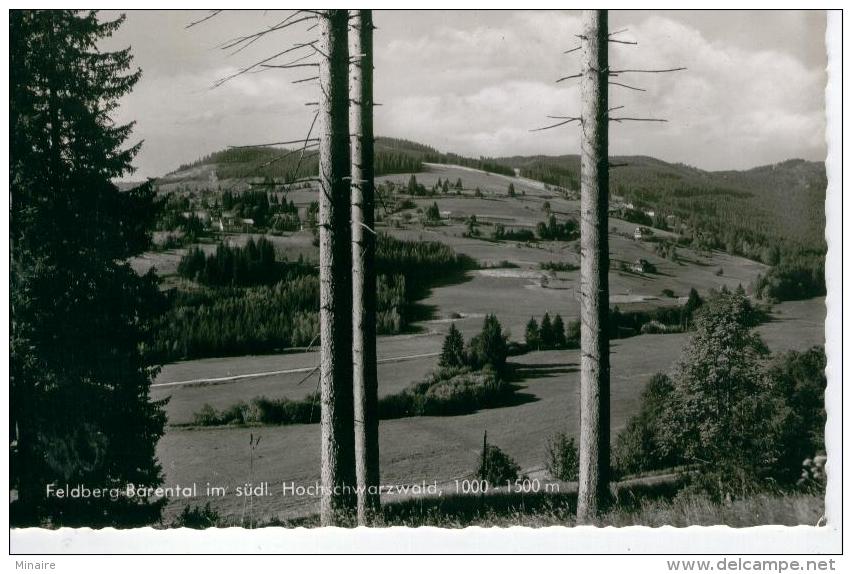 FELDBERG BÄRENTAL .- Très Bon état - Feldberg