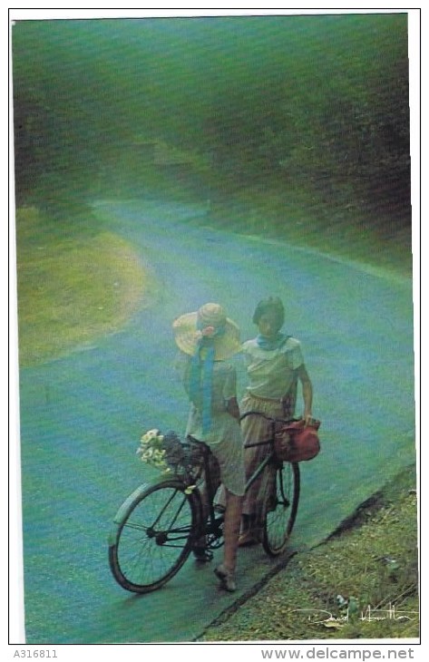 Cpm  David Hamilton S Jeunes Filles A Bicyclette - Hamilton