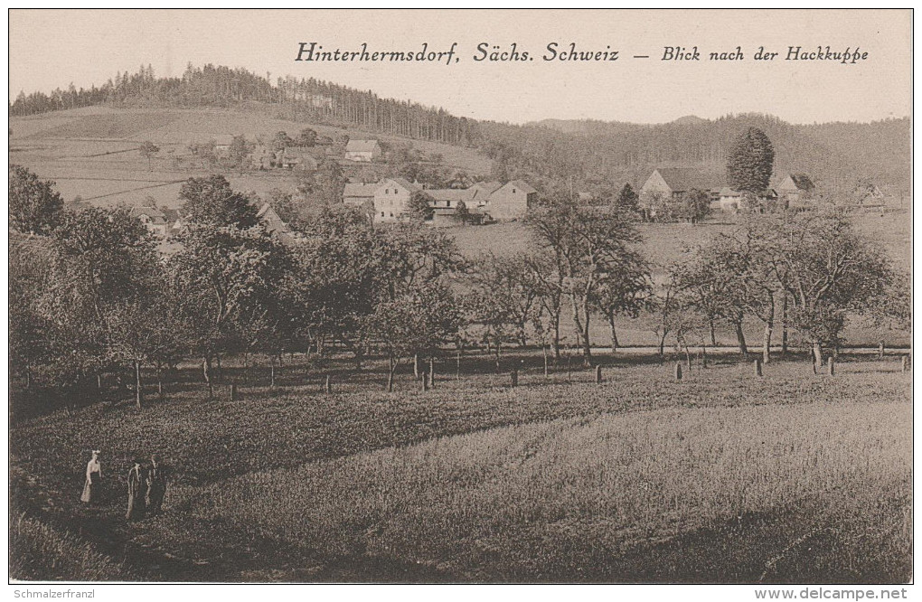 AK Sächsische Schweiz Hinterhermsdorf Blick Nach Der Hackkuppe Bei Schandau Sebnitz Saupsdorf Nixdorf Hinterdaubitz Khaa - Hinterhermsdorf