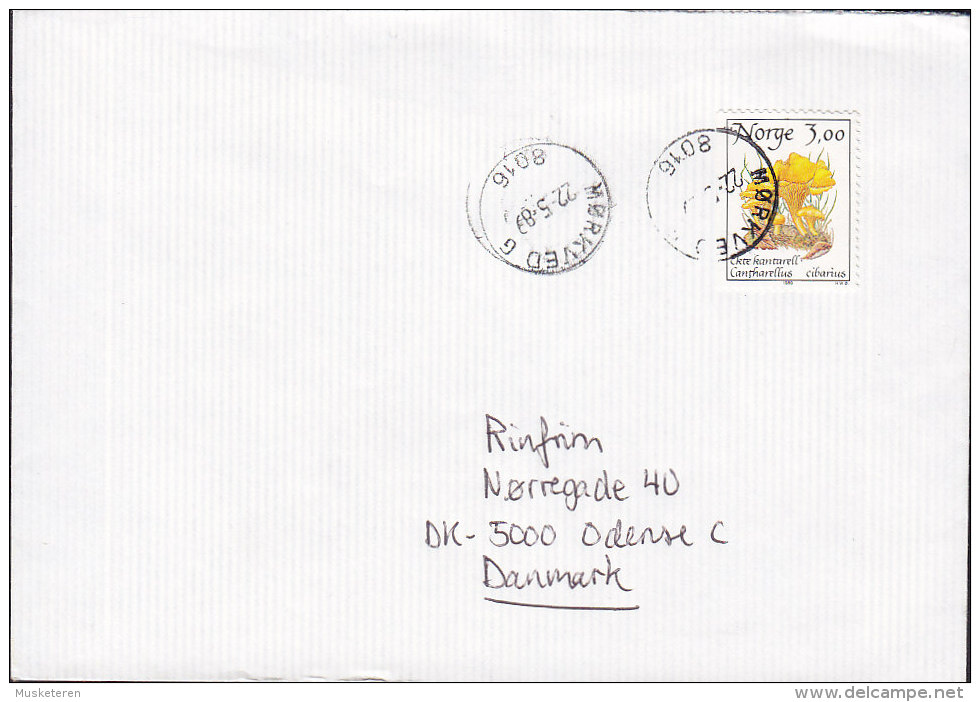 Norway MØRKVED 1989 Cover Brief To ODENSE Denmark Pilze Mushroom Stamp - Briefe U. Dokumente