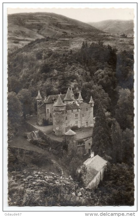 ENVIRONS De VILLEFORT (48) - CPSM (FORMAT CPA) - LE CHATEAU DU CHAMP - Villefort