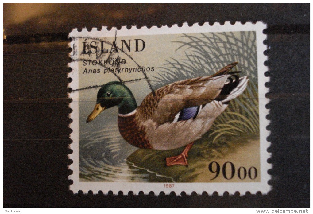 Islande - Année 1988 - 90k Haematopus  Platyrhynchos - Y.T. 624 - Oblitéré - Used - Gestempeld - Oblitérés