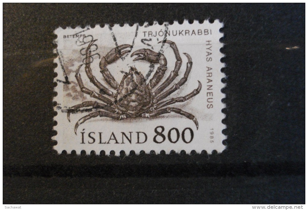 Islande - Année 1985 - 8k Brun (Crabe Appelant) - Y.T. 590 - Oblitéré - Used - Gestempeld - Oblitérés