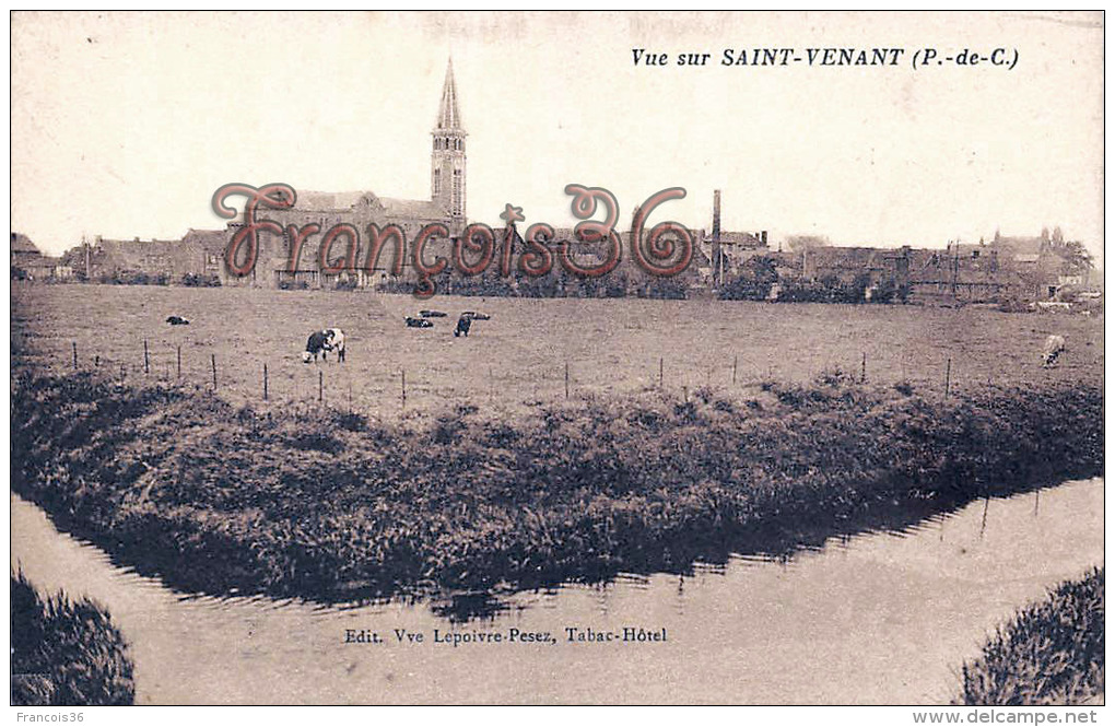 (62) Saint St Venant - Vue Générale - Troupeau De Vache - 2 SCANS - Autres & Non Classés