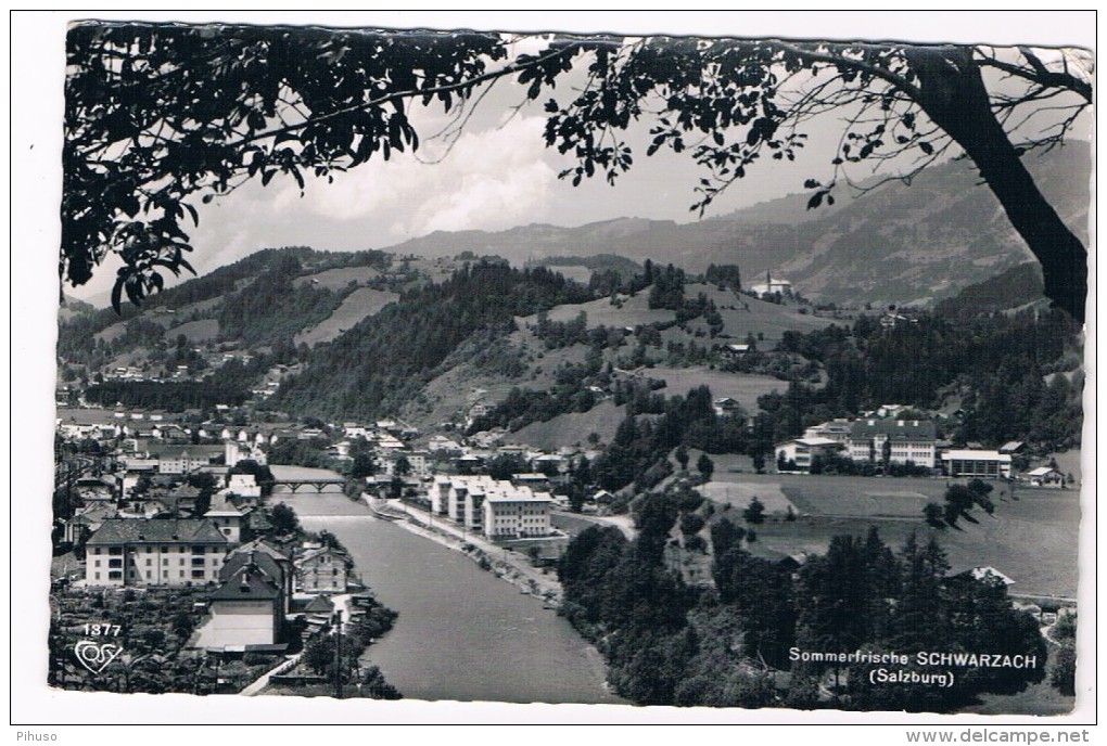 Ö-2561    SCHWARZACH : - St. Johann Im Pongau