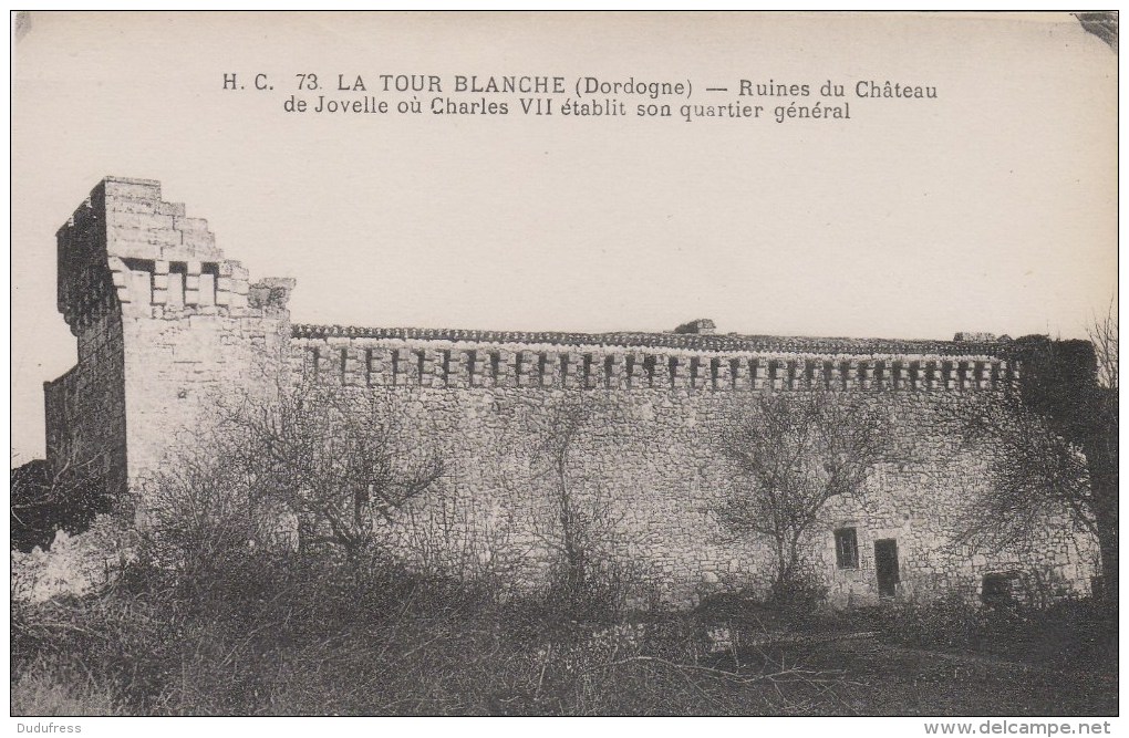 LA TOUR BLANCHE     RUINES DU CHATEAU DE JOVELLE - Autres & Non Classés