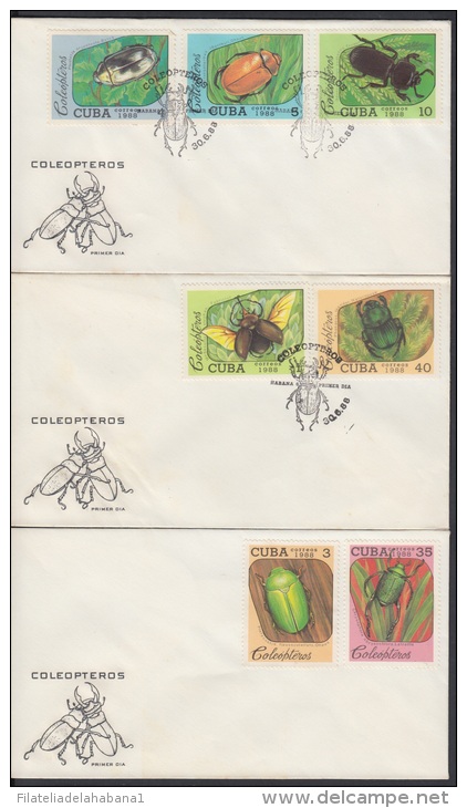 1988-FDC-20 CUBA. FDC. 1988. COLEOPTEROS. COLEOPTERA. INSECTOS. INSECTS. ANIMALS. NATURE. - FDC