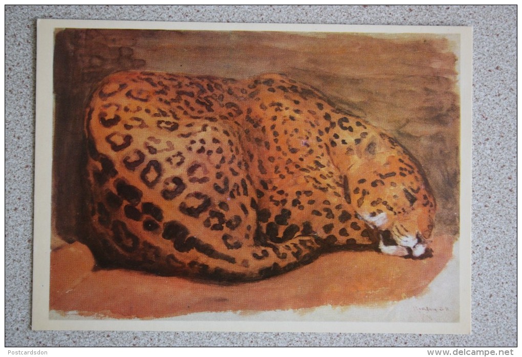 Painter VATAGIN. Jaguar  - Old USSR Postcard 1978 - Tijgers