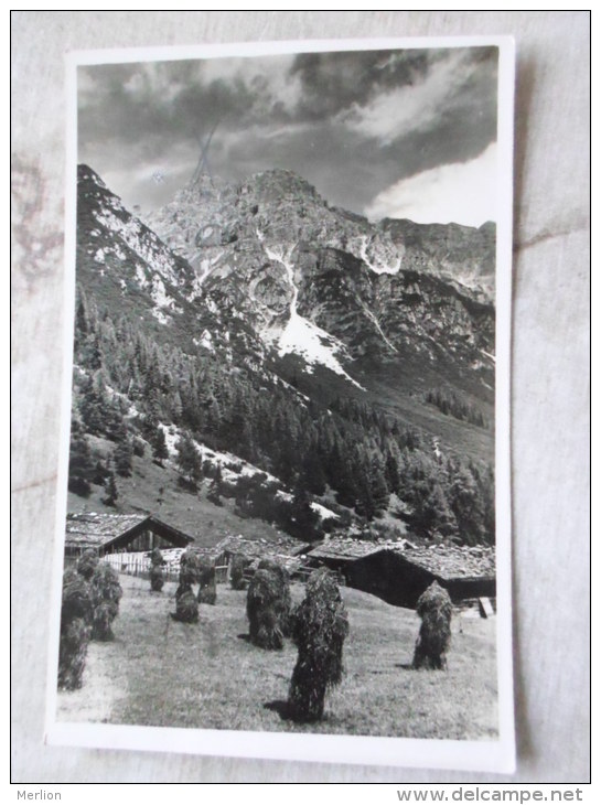 Austria -  Stubaital - Schlickeralm Mit Kalkkögel  - Fulpmes  Ca 1920's - Photo Richard Müller Innsbruck    D127490 - Neustift Im Stubaital