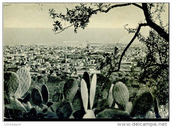 CATANIA - PANORAMA     -F G -  VIAGGIATA -1953 - Catania