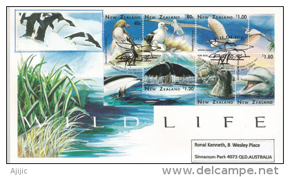 Wildlife New-Zealand ! Manchot,albatros Royal,cachalot,phoque,dauphin. Belle Lettre FDC Adressée En Australie - Antarctic Wildlife