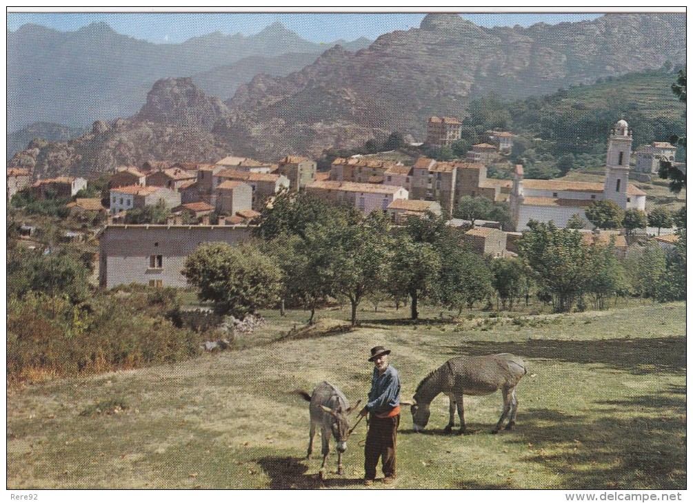 20 Corse île De Beauté  Piana Vue Générale Du Village - Autres & Non Classés