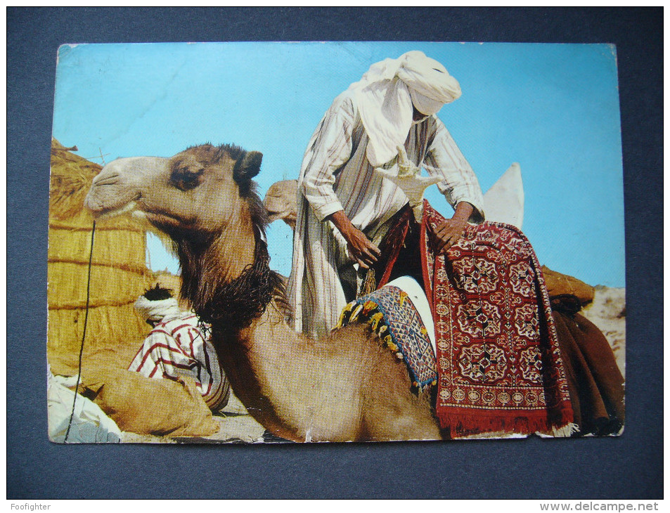 Libya: GHAT - Camel-Driver - Cammelliere - Posted 1969 - Libya