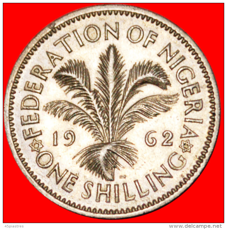 * STARS OF DAVID ★ NIGERIA ★ 1 SHILLING 1962 ELIZABETH II!  LOW START&#9733;NO RESERVE! - Nigeria