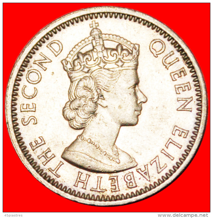 * STARS OF DAVID ★ NIGERIA ★ 1 SHILLING 1962 ELIZABETH II!  LOW START&#9733;NO RESERVE! - Nigeria