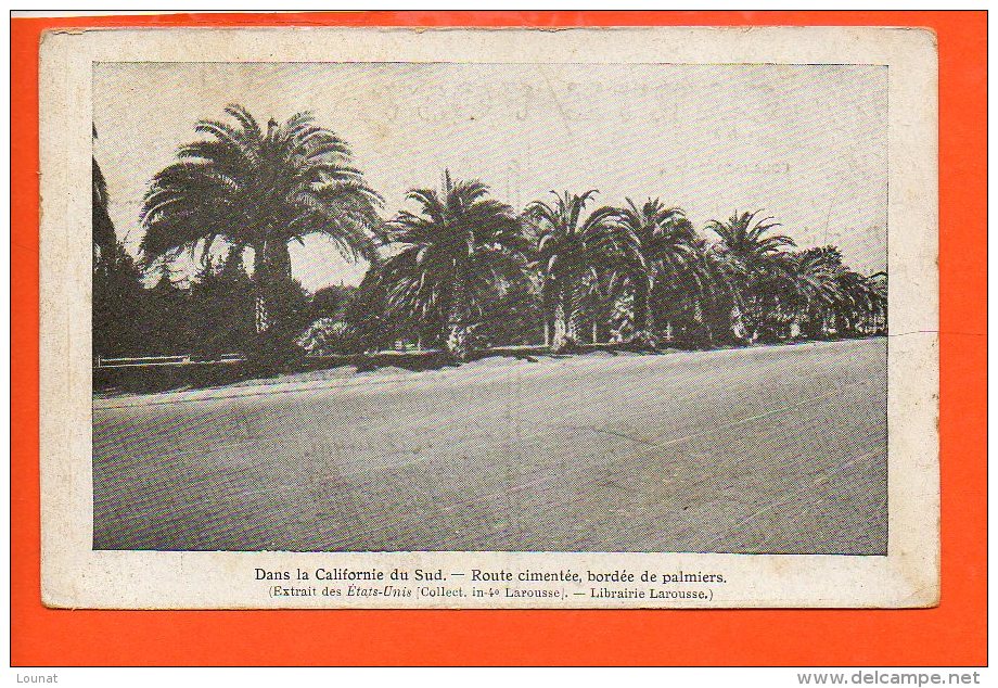 Dans La CALIFORNIE Du Sud - Route Cimentée, Bordée De Palmiers (publicité De La Librairie Larousse Paris 6ème Rue Mont) - Autres & Non Classés