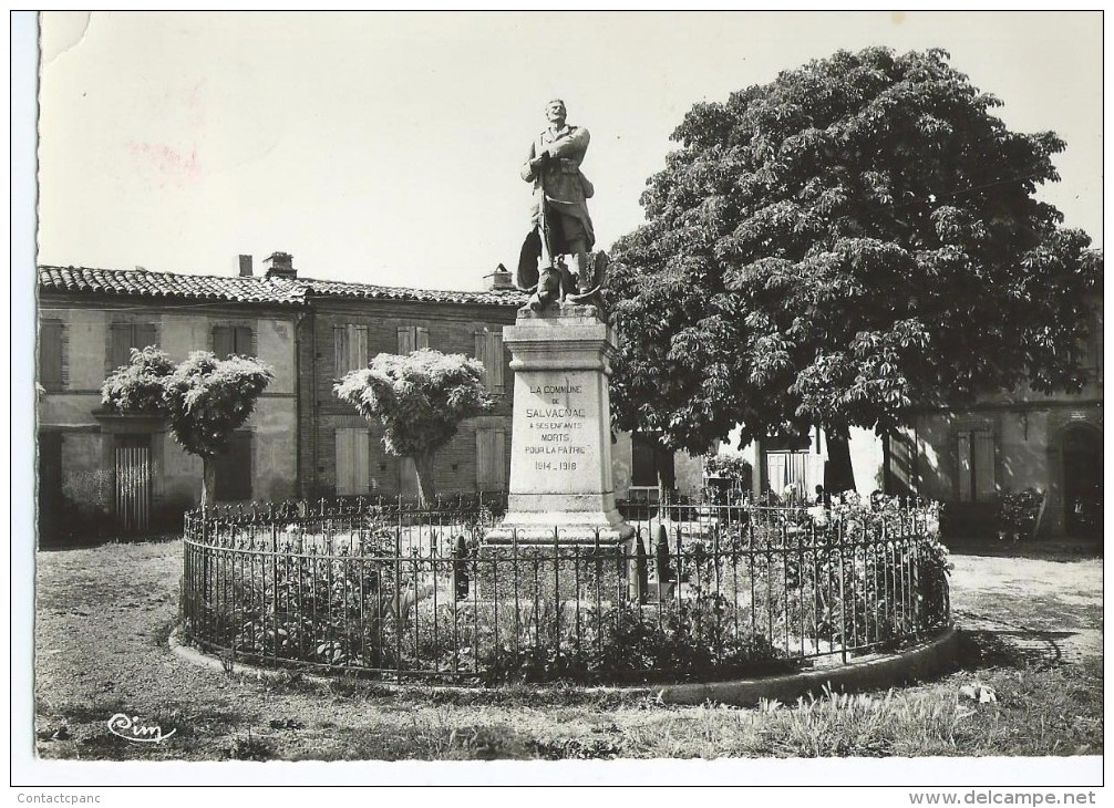 SALVAGNAC  ( 81 ) -   Le Monument Aux Morts   ( C.P.S.M.  , Gd  -  Ft  ) - Salvagnac