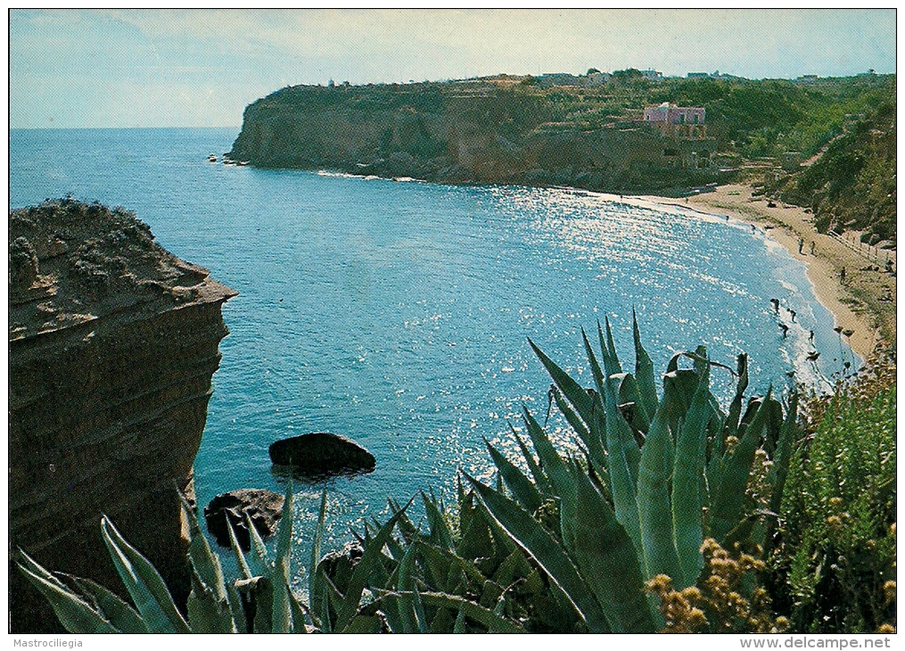 VENTOTENE  LATINA  Fg - Latina