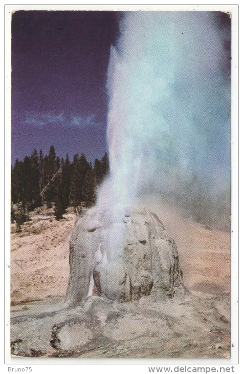 Lone Star Geyser, Yellowstone National Park - USA National Parks