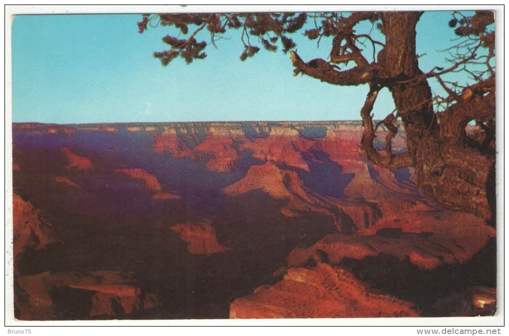 Grand Canyon National Park, Arizona, View From Hopi Point - USA National Parks