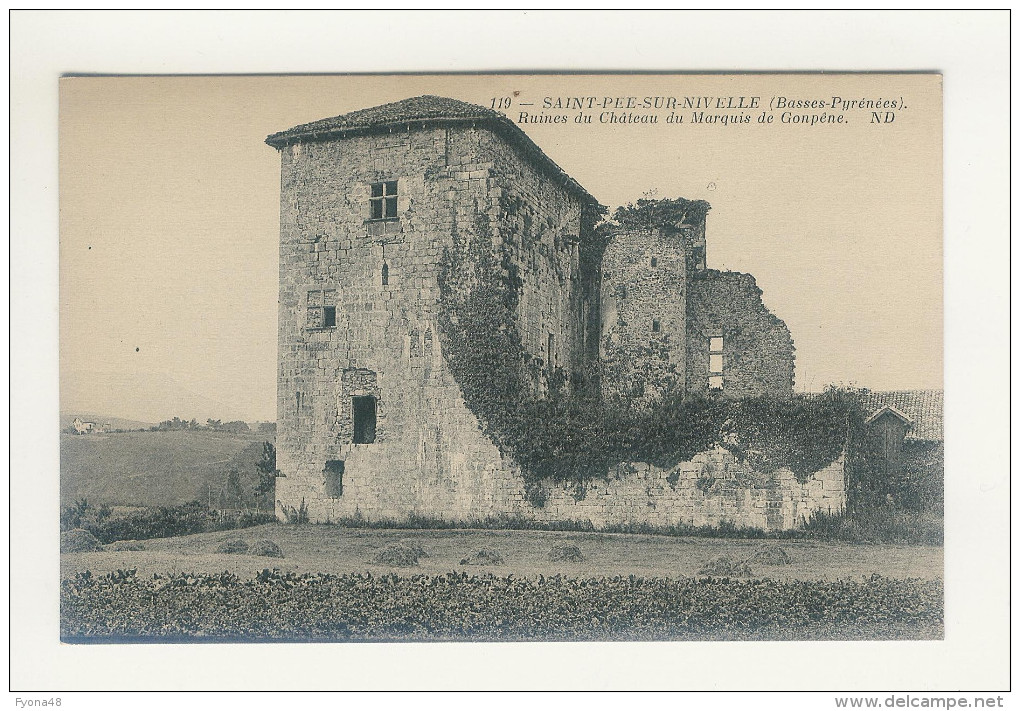 SAINT-PEE-SUR-NIVELLE - Ruines Du Château Du Marquis De Gonpêne - Altri & Non Classificati