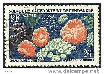 NEW CALEDONIA 26 FRANCS AQUARIUM DE NOUMEA CORAUX FLUROESCENTS OUT OF SET OF ? USEDNH 1960's SG350 READ DESCRIPTION !! - Used Stamps