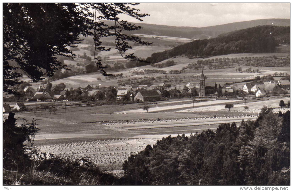 AK Alhausen Bei Bad Driburg /Westfalen - Bad Driburg