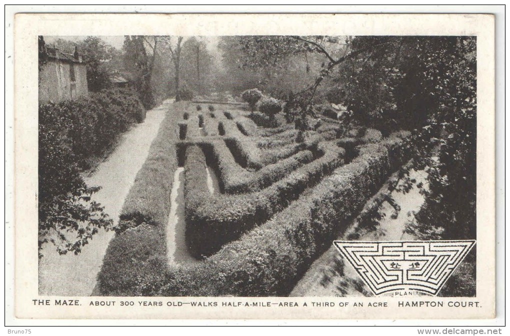 THE MAZE - Hampton Court - Middlesex