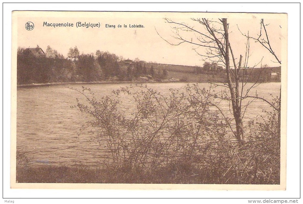 Macquenoise  Etang De La Lobiette - Momignies