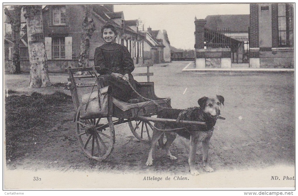 CPA - Attelage De Chien - Très Beau Gros Plan - Loiret - Lorris - Mise à Prix 1 Euro - Otros & Sin Clasificación