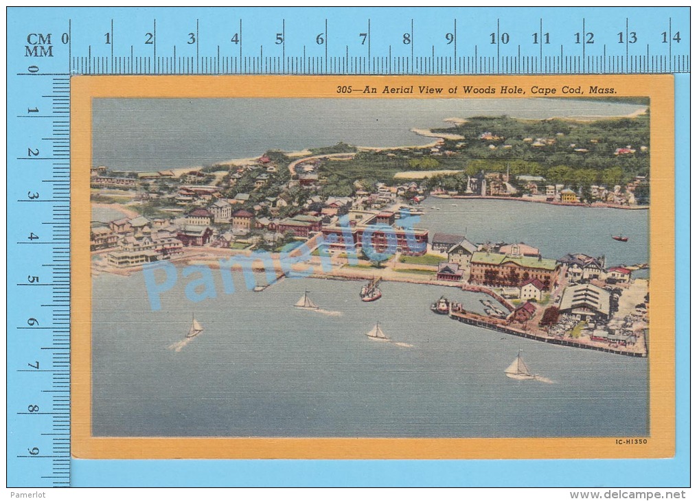CPSM, Massachusetts ( Woods Hole Cape Code ) Linen Postcard Recto/Verso - Cape Cod