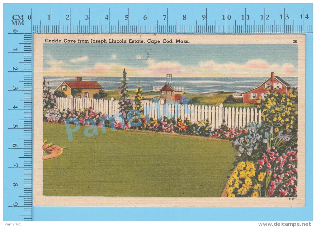 CPSM, Massachusetts ( Cockle Cove From Joseph Lincoln Estate Cape Code ) Linen Postcard Recto/Verso - Cape Cod
