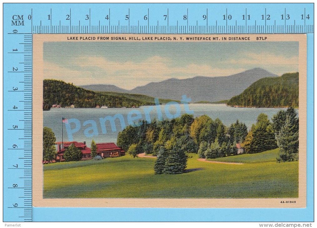 CPSM, New York   ( Lake Placid From Signal Hill, White Face Mountain In Distance ) Linen Postcard Recto/Verso - Adirondack