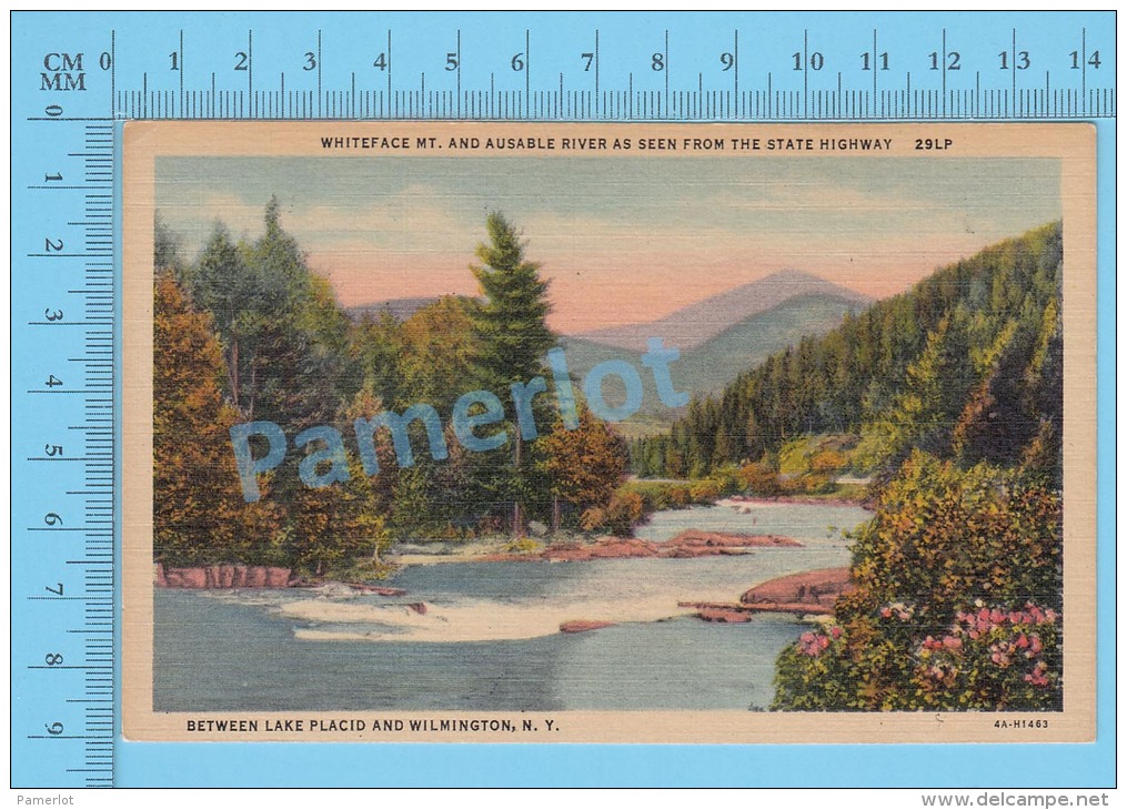 CPSM, New York ( White Mt. And Ausable River As Seen From State Highway ) Linen Postcard Recto/Verso - Adirondack