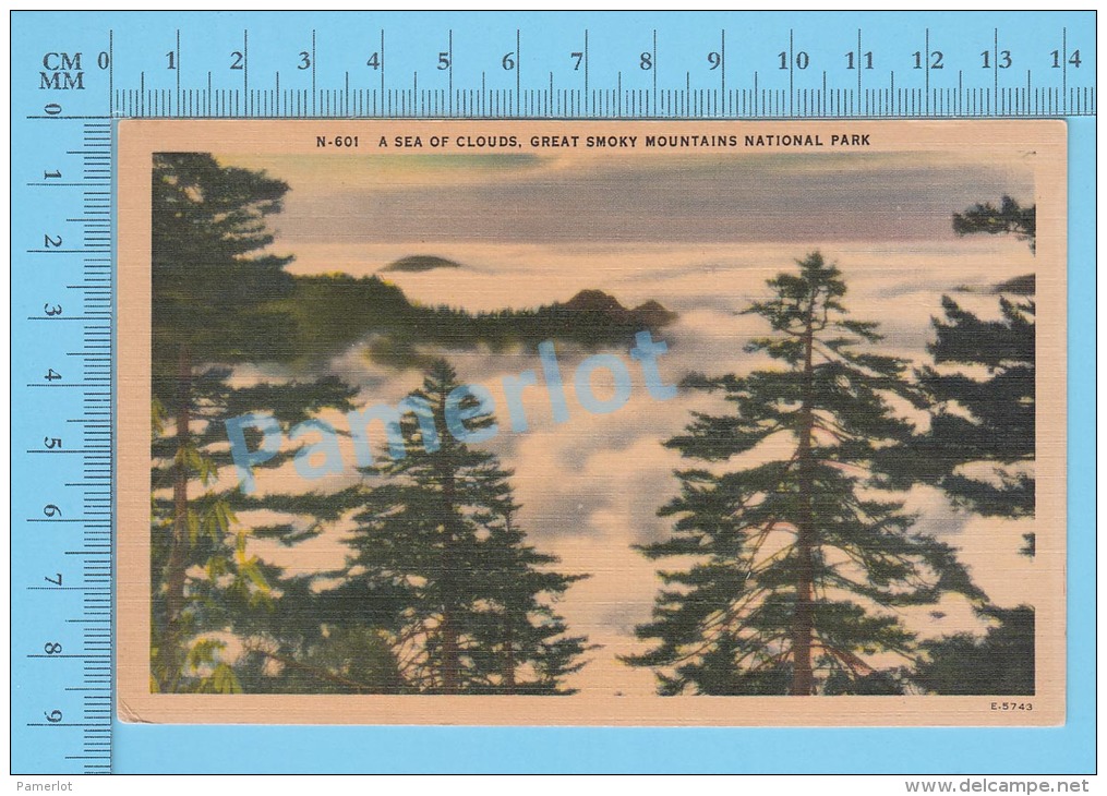 CPSM, Tennessee ( A Sea Of Clouds Great Smoky Mountain National Park ) Linen Postcard Recto/Verso - Smokey Mountains