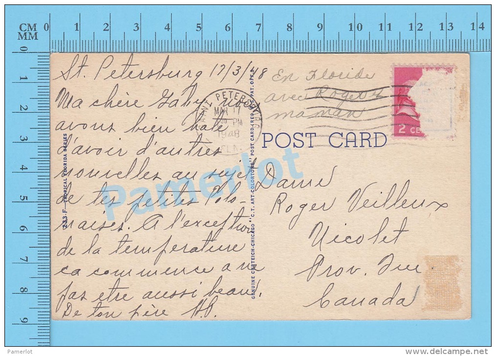 CPSM, Florida ( 1948, Royal Poinciana Tree Admidst Majestic Royal Palms) Linen Postcard Recto/Verso - Autres & Non Classés