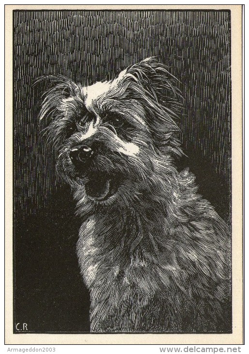 W11  CPSM ILLUSTRATION DESSIN TETE DE CHIEN GENRE GRIFFON SIGNE CR  NEUVE  VOIR DOS - Other & Unclassified