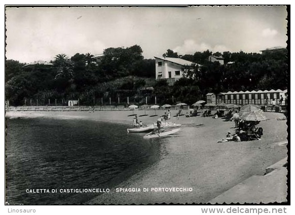 CALETTA DI CASTIGLIONCELLO    -F G -  VIAGGIATA -1951 - Livorno