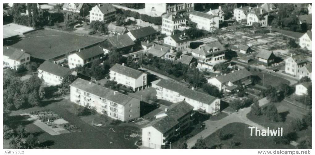 Flugzeugaufnahme Thalwil Bei Zürich Wohngebiet Schule Fabrik Sw 20.8.1963 - Thalwil