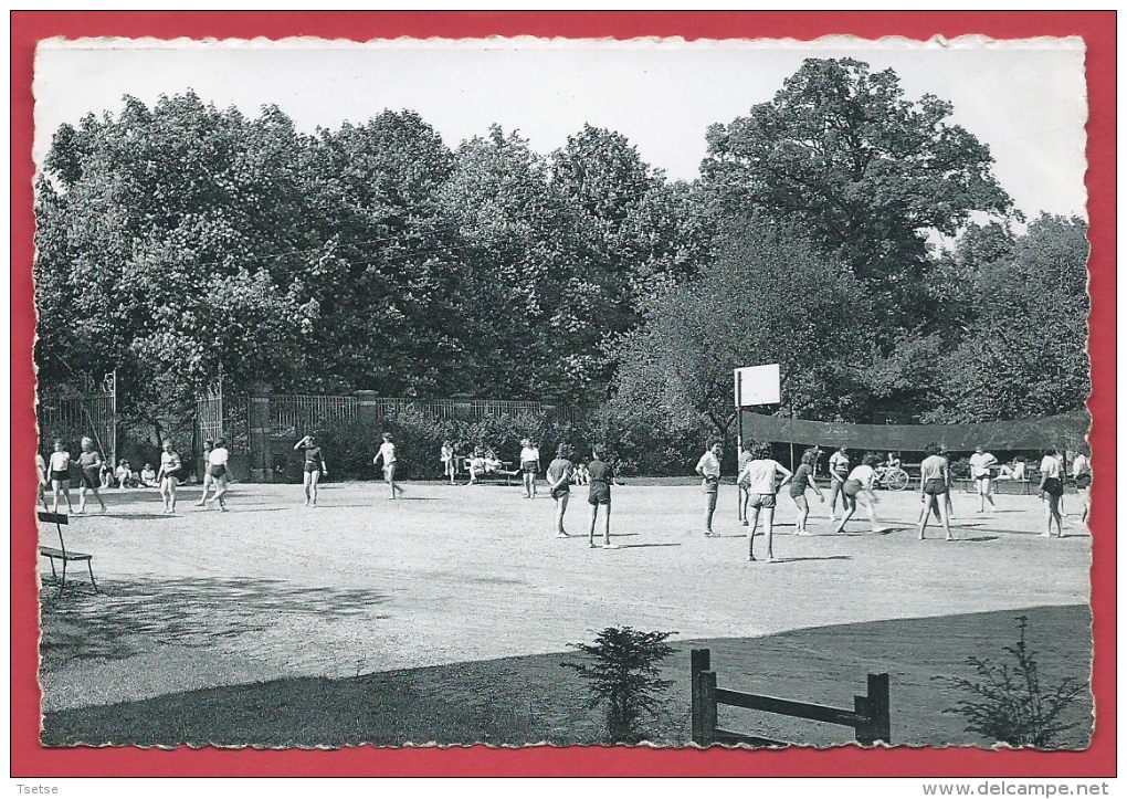 Morlanwelz - Lycée Warocqué - La Plaine De Jeux- Les Sports -1954 ( Voir Verso ) - Morlanwelz