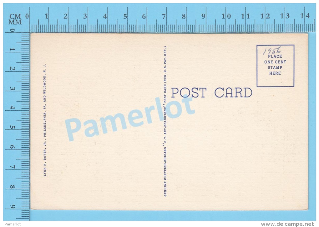 CPSM, New Jersey ( Cooper River Showing Farnham Park And High School, Camden ) Linen Postcard Recto/Verso - Camden