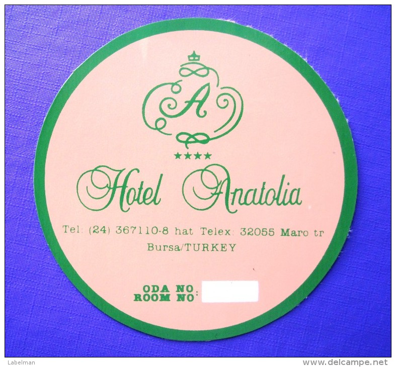 HOTEL  OTELI OTEL ANATOLIA BURSA ISTANBUL TURKEY TURKIYE TURQUIE DECAL STICKER LUGGAGE LABEL ETIQUETTE AUFKLEBER - Hotel Labels