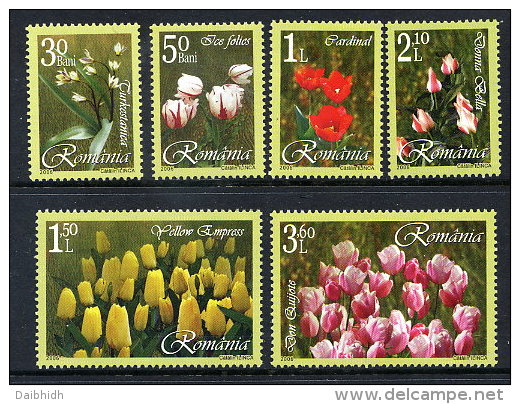 ROMANIA 2006 Tulips Set Of 6  MNH / **.  Michel 6055-60 - Nuevos