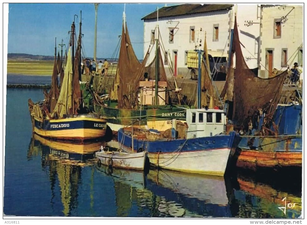 Cpm LE CROISIC Bateaux De Peche Devant La Criée - Le Croisic