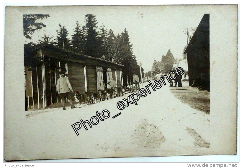 CPA Carte Photo Guerre 14-18 Militaire Chien Traineau Dog WW1 VOSGES Alsace - Guerre 1914-18